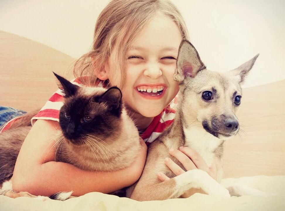 Pets can become a risk factor for helminth infections, especially for children