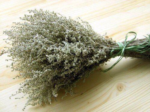 Wormwood is a common plant for worms and flukes. 