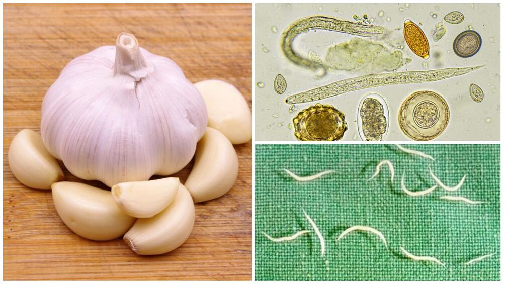 Garlic fights parasites